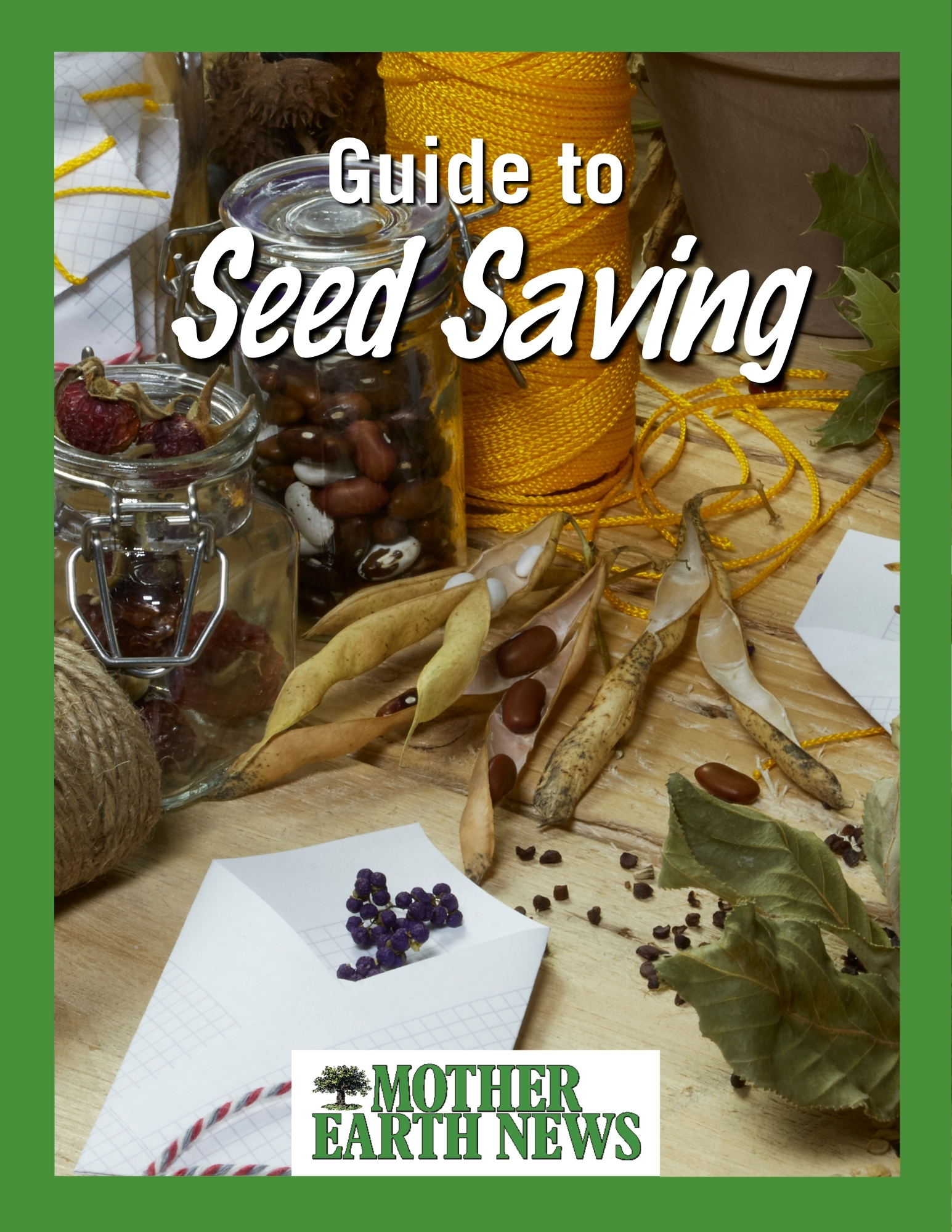 Seed Saving